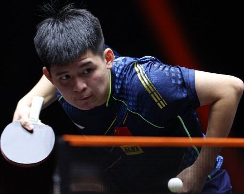 会员的增长 会员的增长